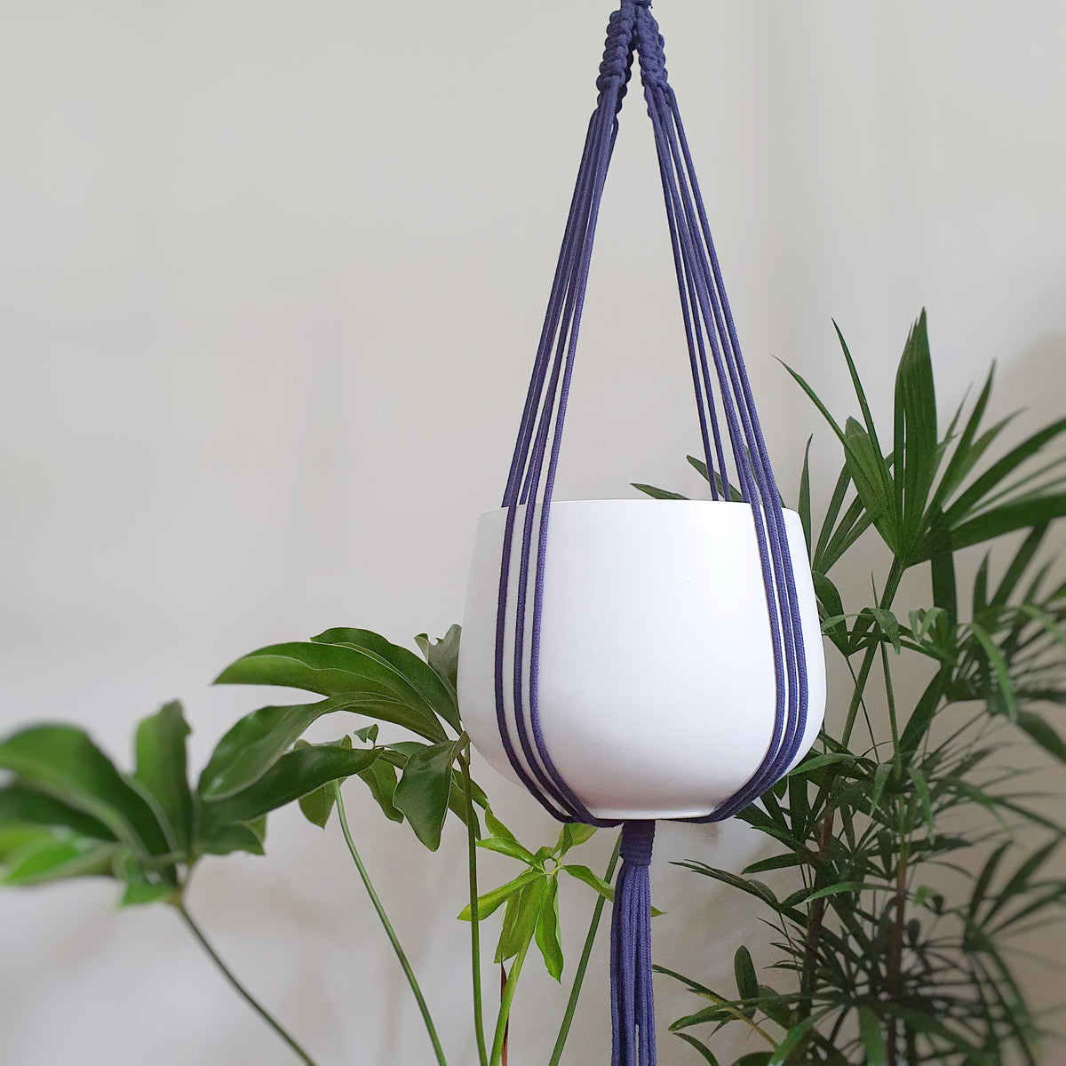 Elk & Horn spread hanger Navy Plantsmith Indoor Plants Melbourne