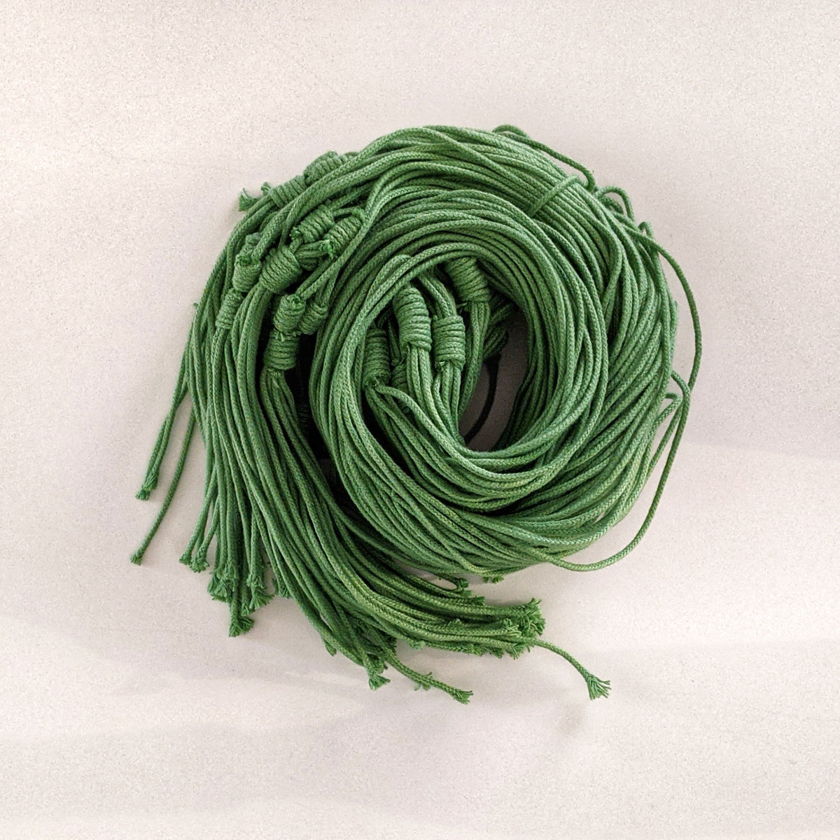 Elk & Horn 'fineline' Basic hanger Green Plantsmith Indoor Plants Melbourne