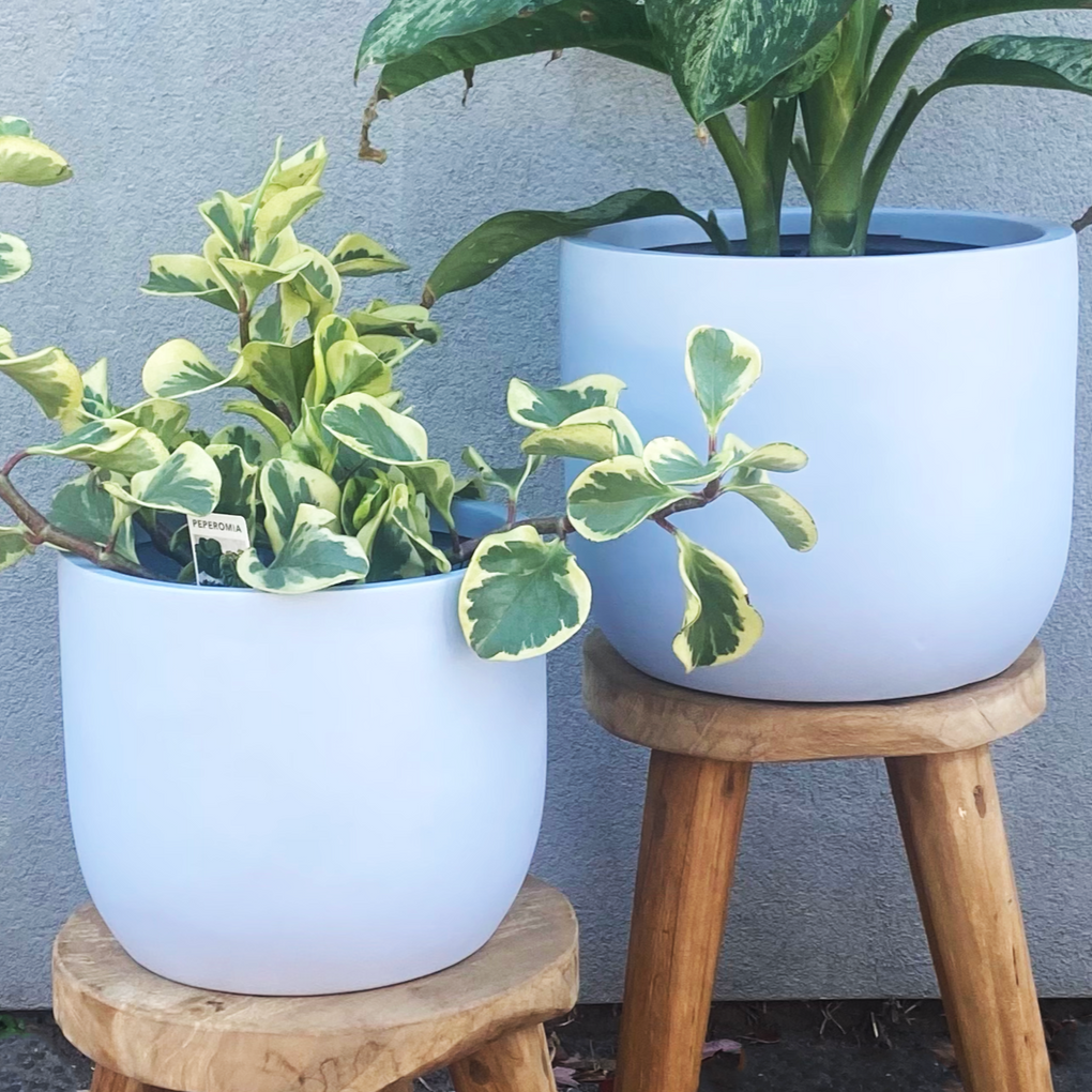 plant pots melbourne Lightweight Fibreglass Pots - Light Grey