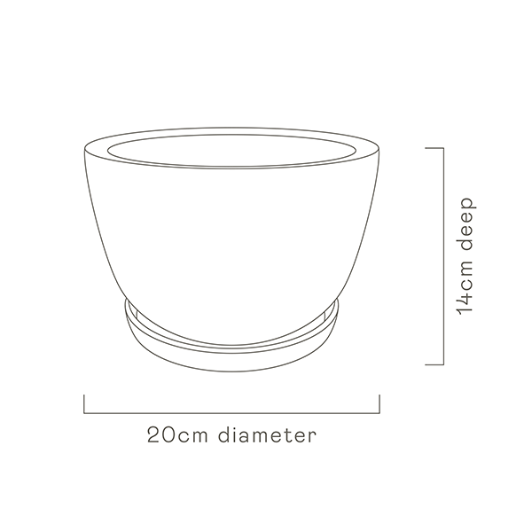 Angus & Celeste Gold Garden plant pot Plantsmith Indoor Plants Melbourne