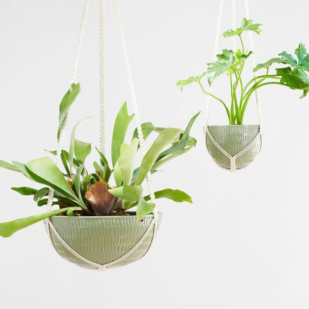 angus & celeste hanging planter Angus & Celeste Macrame hanging planter - Olive