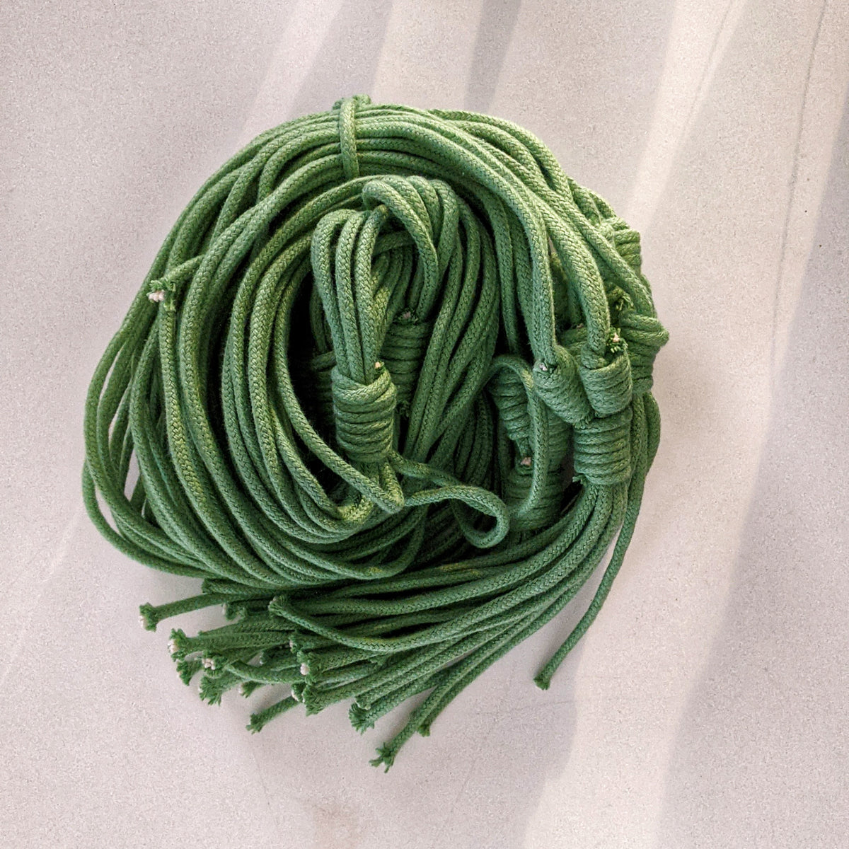 Elk & Horn basic hanger Green Plantsmith Indoor Plants Melbourne