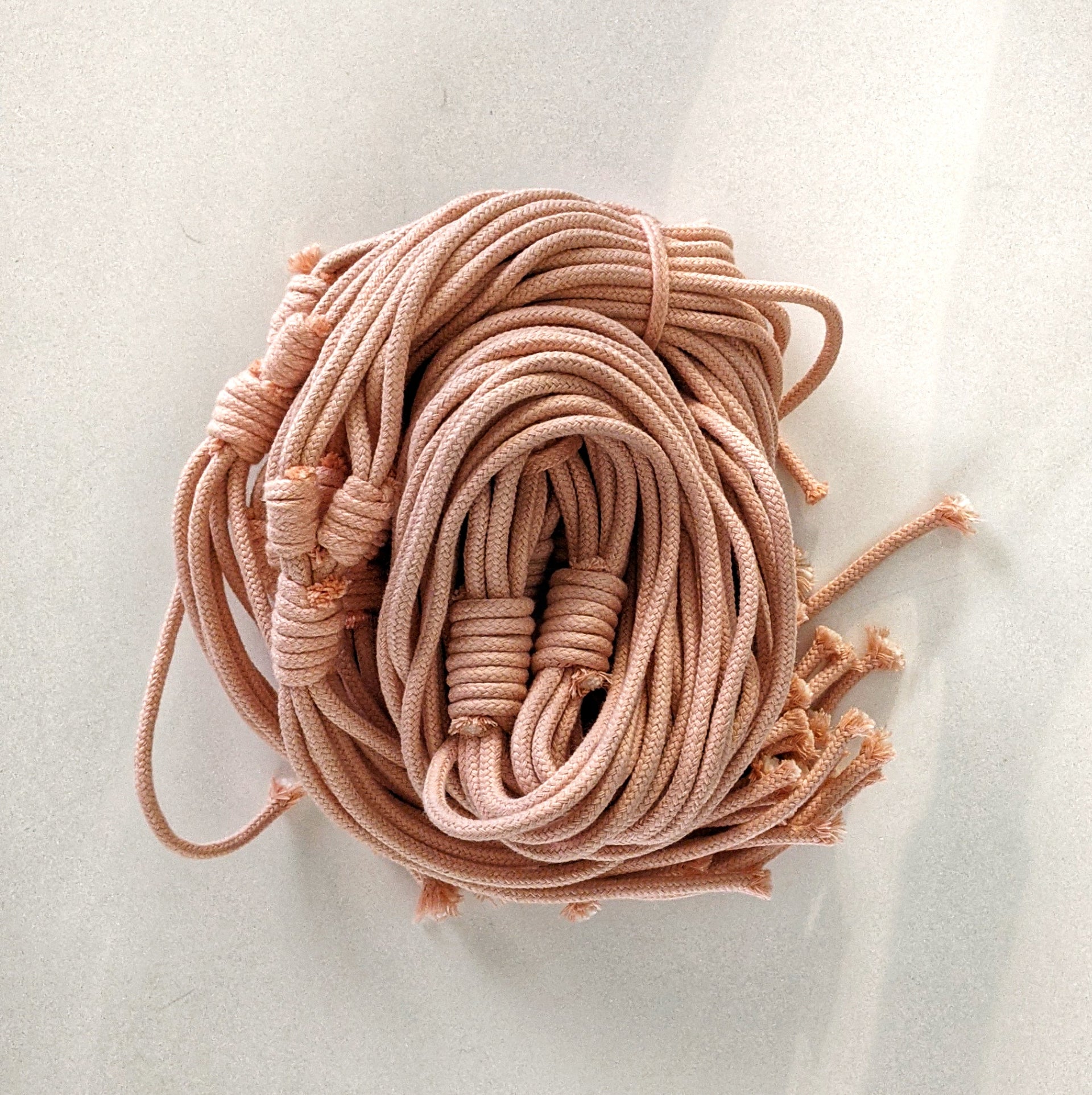 Elk & Horn basic hanger Peach Plantsmith Indoor Plants Melbourne