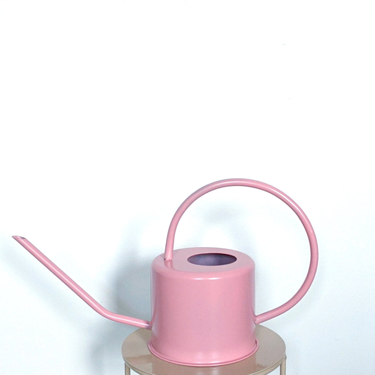 Watering can Rose Plantsmith Indoor Plants Melbourne