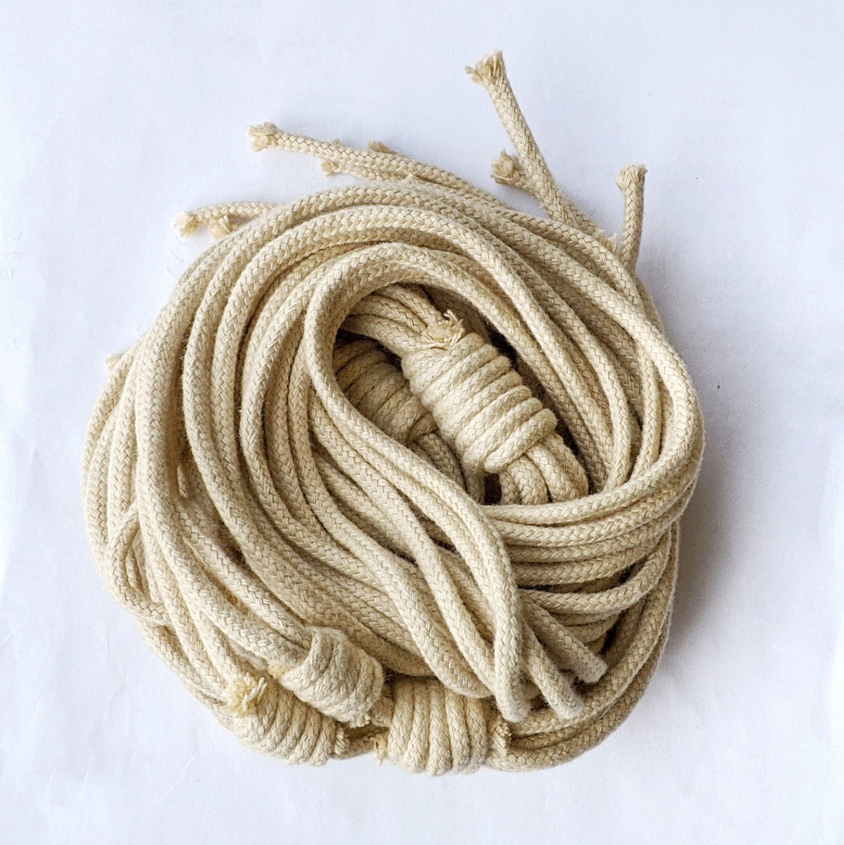 Elk & Horn basic hanger Tano Plantsmith Indoor Plants Melbourne