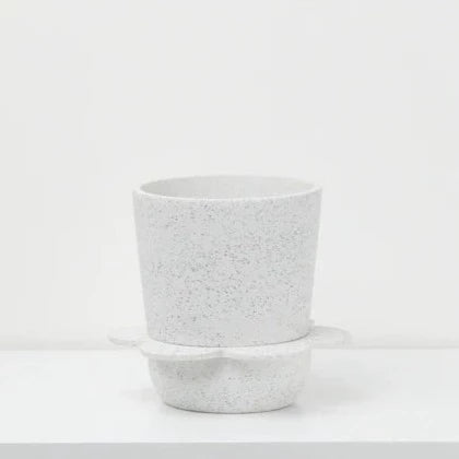 Capra Designs Spring Pot | Plantsmith Indoor Plants Melbourne