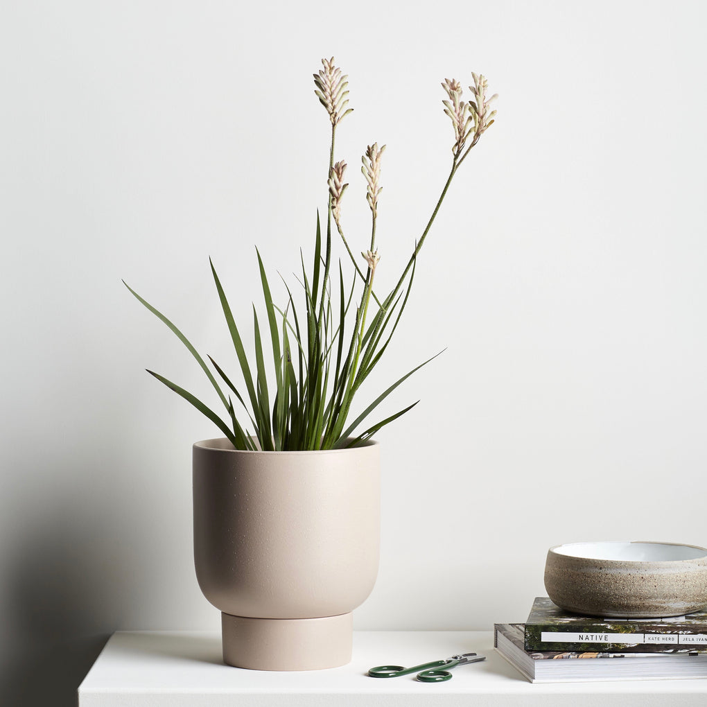 dusk indoor plant pots Finch pot - Dusk